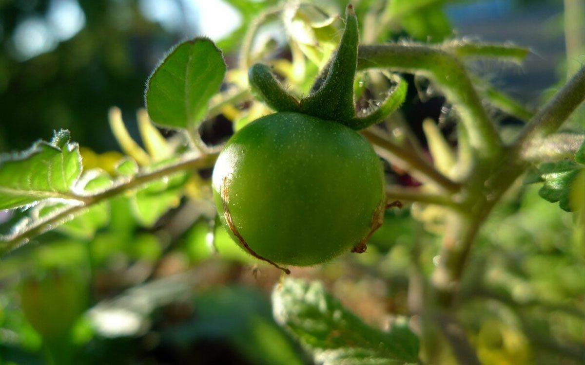 blog 3